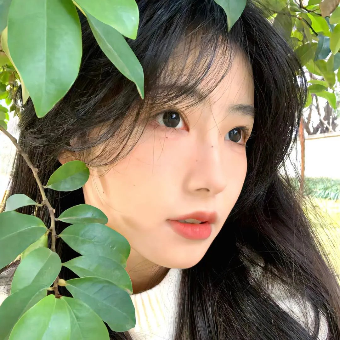 我的小马驹:最棒的礼物